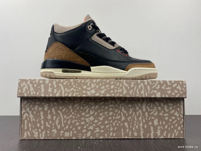 Elephant Desert Air Jordan CT8532-008 3 0709